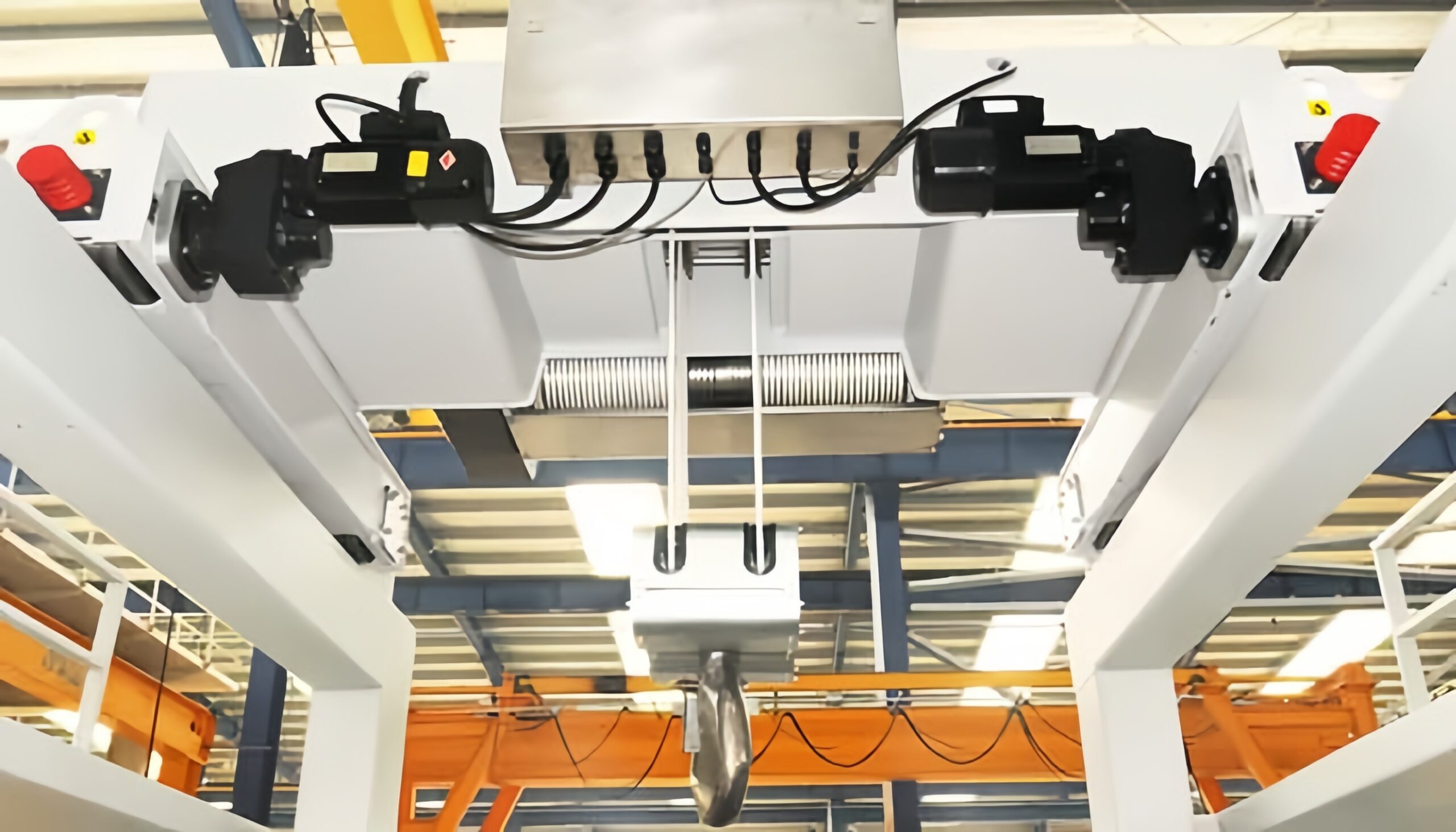 Cleanroom Explosion-Proof Crane Custom